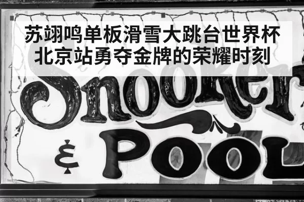 苏翊鸣单板滑雪大跳台世界杯北京站勇夺金牌的荣耀时刻